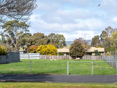 26A Patrick Street, Bothwell