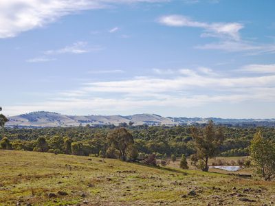 408 Mt Camel-Graytown Road, Redcastle