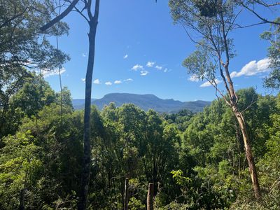 Lot 8, 345 Tuntable Falls Road, Nimbin