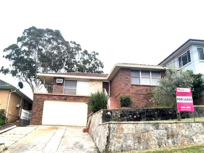 50 Wendy Ave, Georges Hall