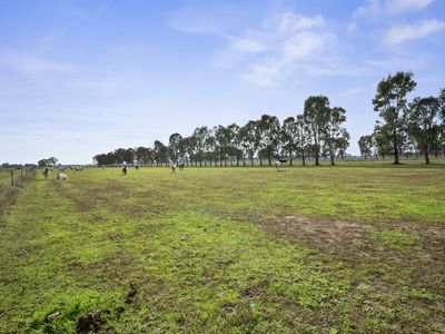 126 BEDWELL ROAD, Rushworth