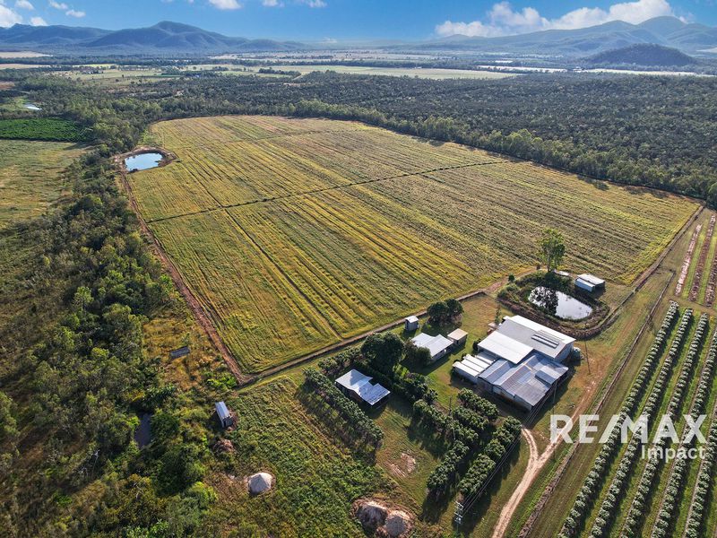 67 East Dawson Road, Mutchilba