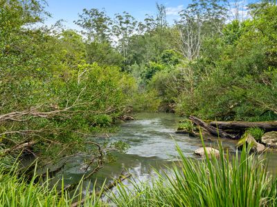 1855 Nimbin Road, Coffee Camp