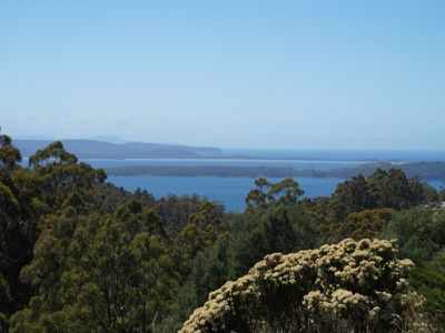 Dulcia Road, Gordon