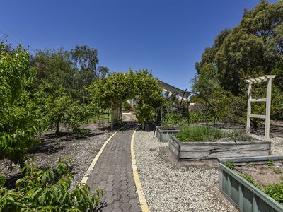 65 Plunkett Terrace, Millicent