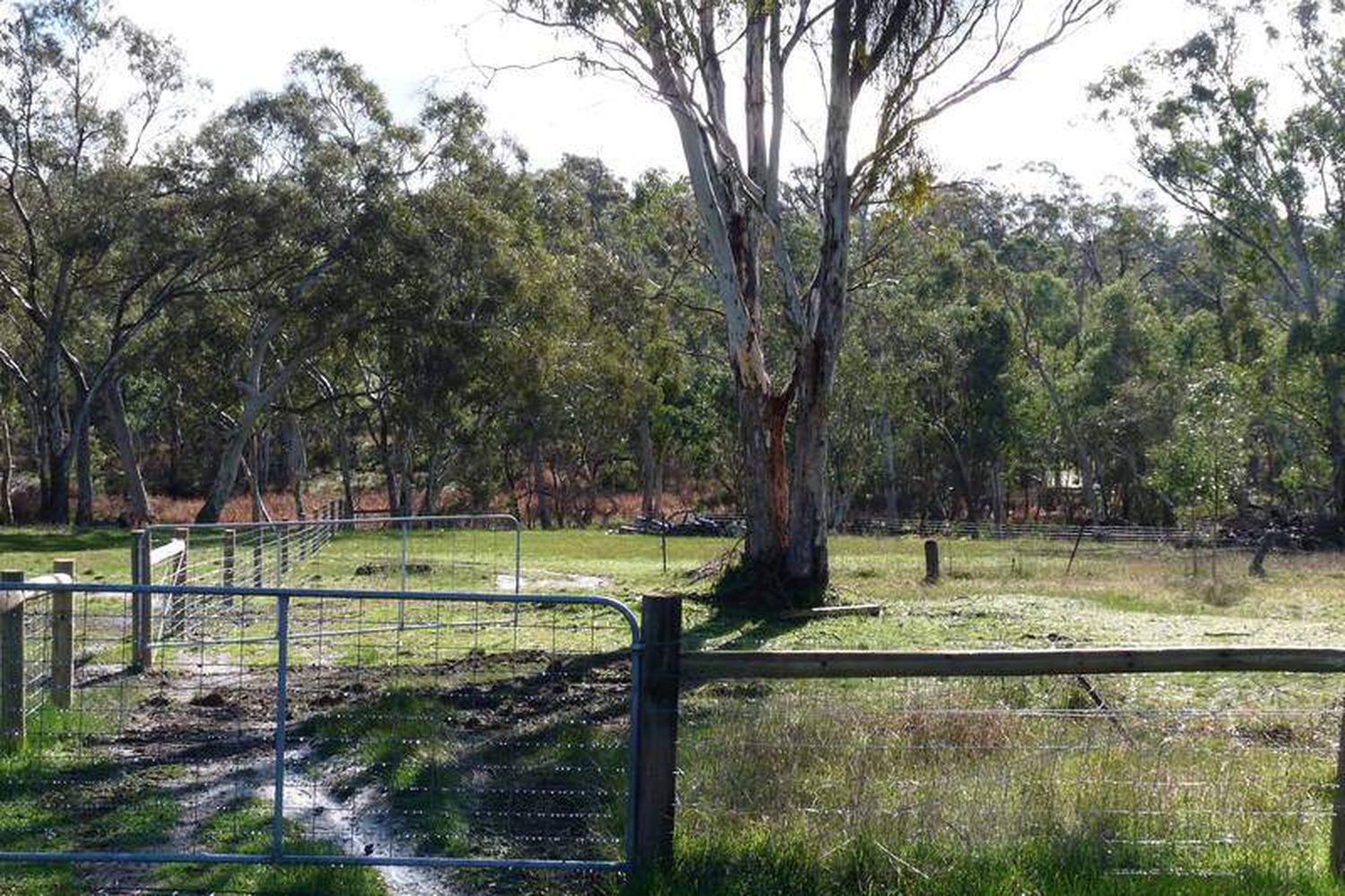 85 Coleraine Road, Horsham