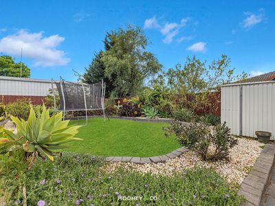 21 Hamilton Drive, Cranbourne North