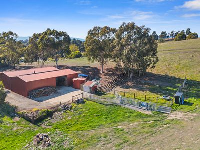 12 Nazek Court, Whiteheads Creek