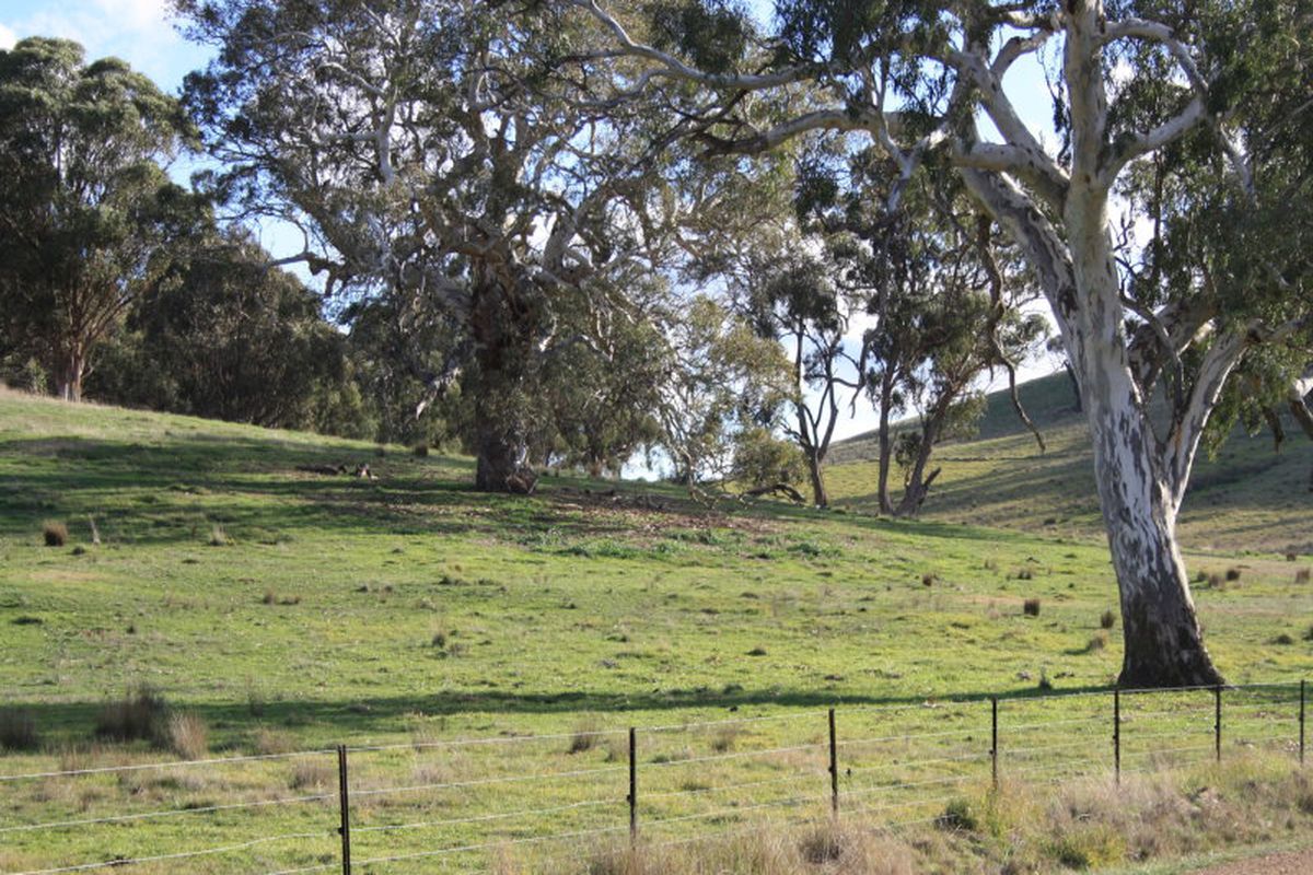 37 Lockharts Road, Bonnie Doon