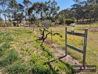 73 Tingoora Charlestown Road, Tingoora