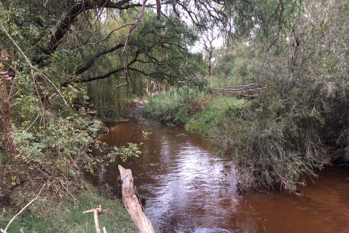 84 -102 -102 Livingstone Street, Avenel