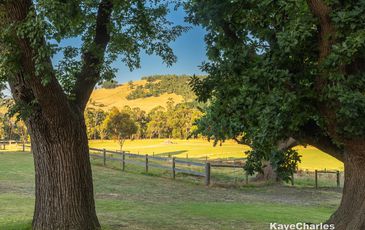 55 Leppitt Road, Pakenham
