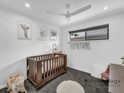 3 Colmar Street, Jimboomba