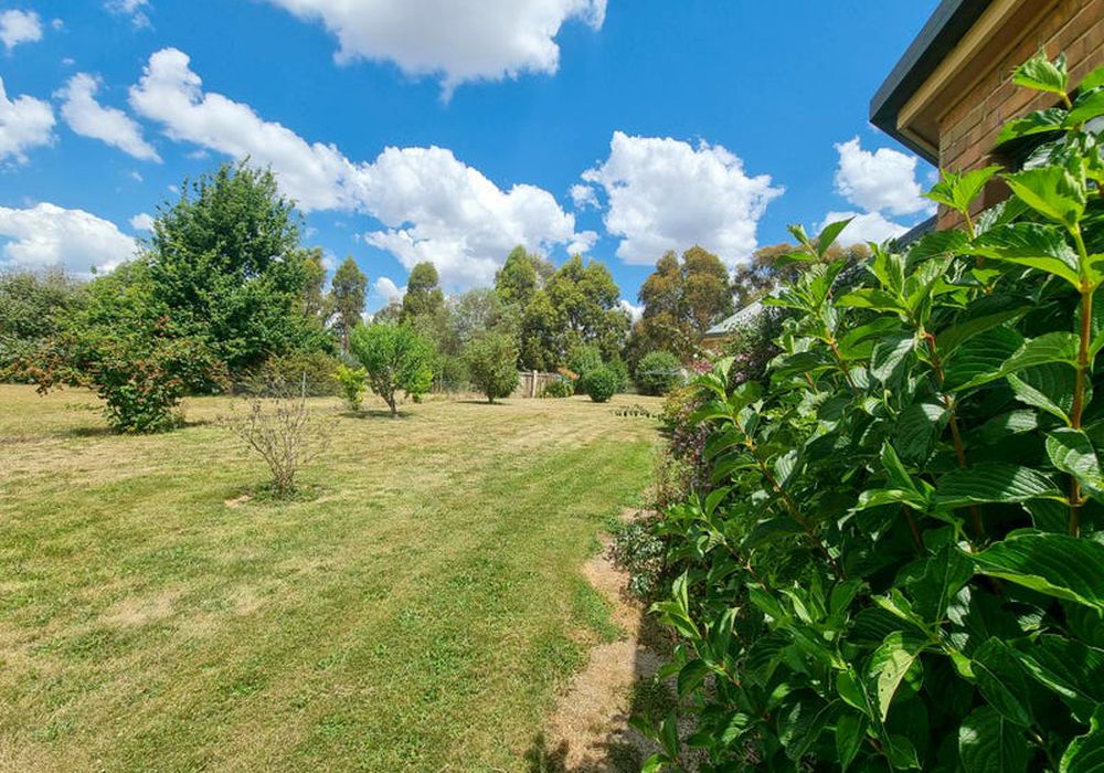 27 Dog Trap Lane, Orange