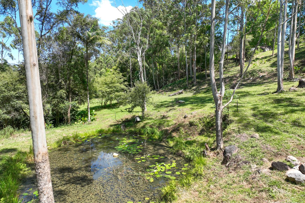 90 Tallowood Lane, Hannam Vale