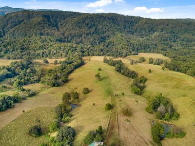 1242 Tuntable Creek Road, Nimbin
