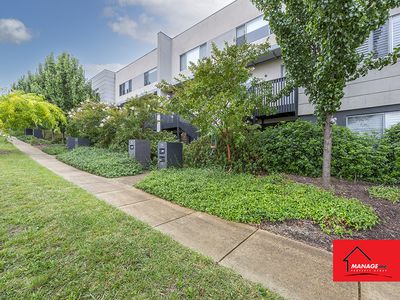 23 MCGOVERN STREET, Casey