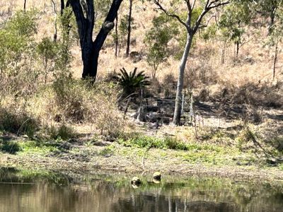 31 Broadmount Road, Thompson Point