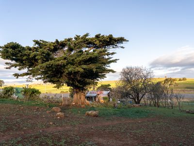 8385 Midland Highway, Tunbridge
