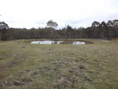 Lot 18 Torrington Road, Torrington