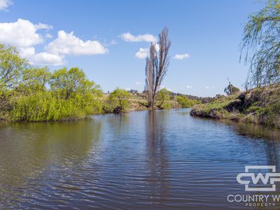 1067 Shannon Vale Road, Shannon Vale