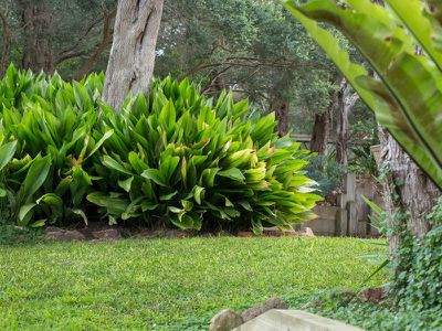48 Garden Street, Blairgowrie