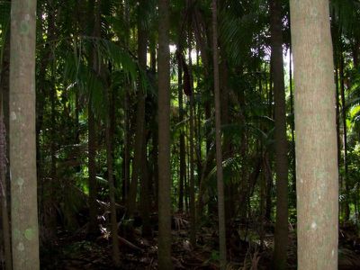 Maleny