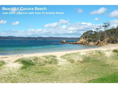 21 Andrea Street, Eden