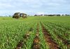 155 Claypans Road, Copeville