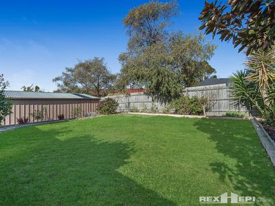 46 Springfield Crescent, Hampton Park