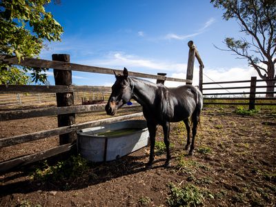 43 Berlin Road, Mount Berryman