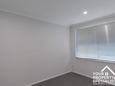 29 McCrae Drive, Camden South