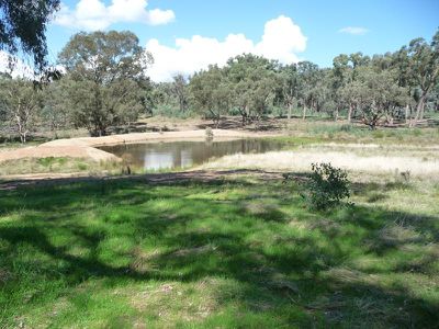 Little Billabong Road, Holbrook