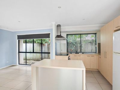 12 Gumnut Court, Tewantin