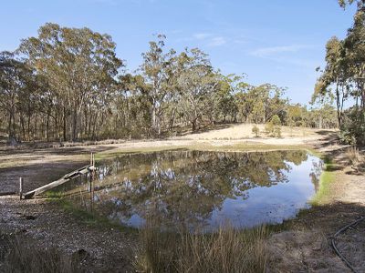 91 Tehan Court, Heathcote