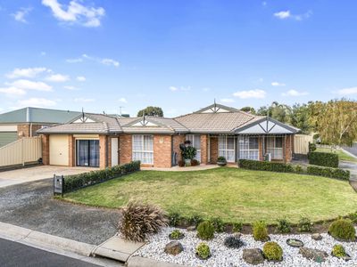 10 Pastoral Place, Sydenham