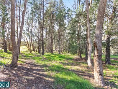230 Adairs Lane, Heathcote