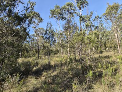 77 Grovenor Rise, Grove
