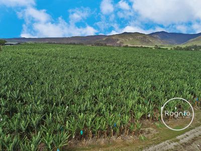 387 Fassio Road, Mareeba