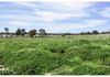 2 Molong Street, Stuart Town