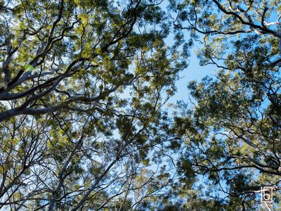 Lot 9 & Lot 10, 2824 Big Jims Reach, Hawkesbury River, Bar Point