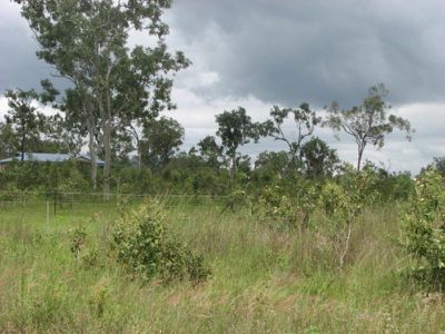 Coronet Drive, Mareeba