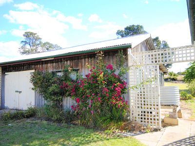 17 Wellington Street, Oatlands