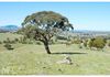 577 Browns Creek Road, Browns Creek