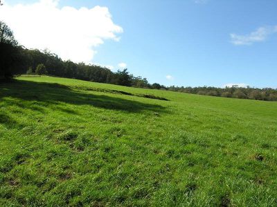 Gans Lane, Geeveston