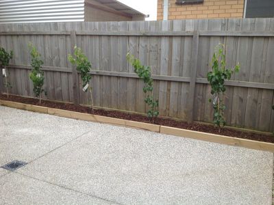 14 Baker Street, Geelong West