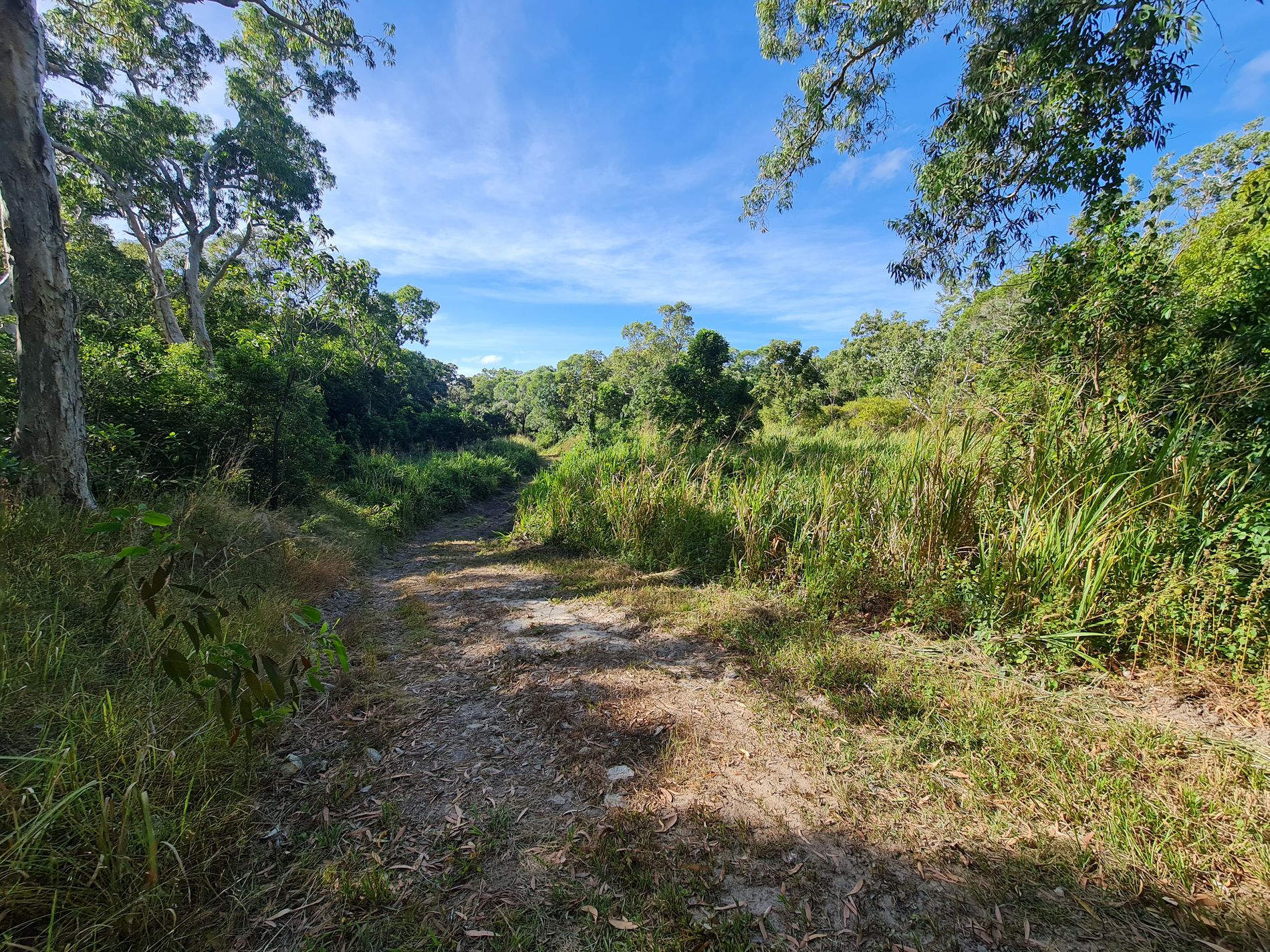 2 Parkinson Street, Cooktown