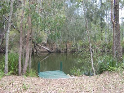 Morisset