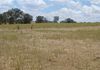 1247 Davey Plains Road, Cargo