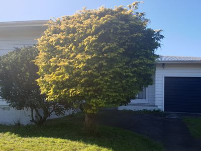 39 Redwood Avenue, Tawa